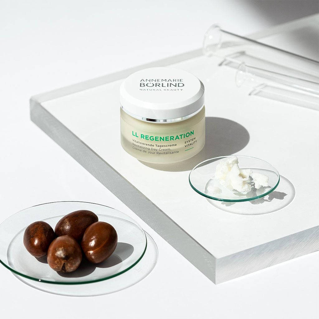 Annemarie Borlind LL Regeneration Revitalizing Day Cream 50ml