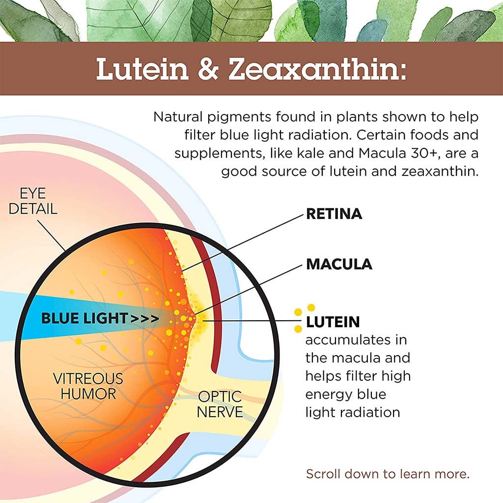 Country Life Lutein 20 mg & Zeaxanthin Softgel For Eye Health, Pack of 60's