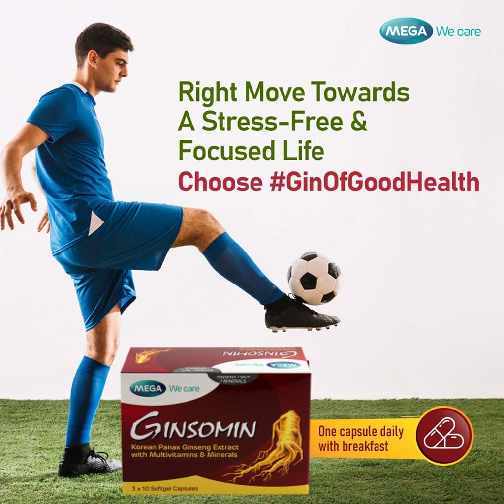 Mega We Care Ginsomin Capsules 30's