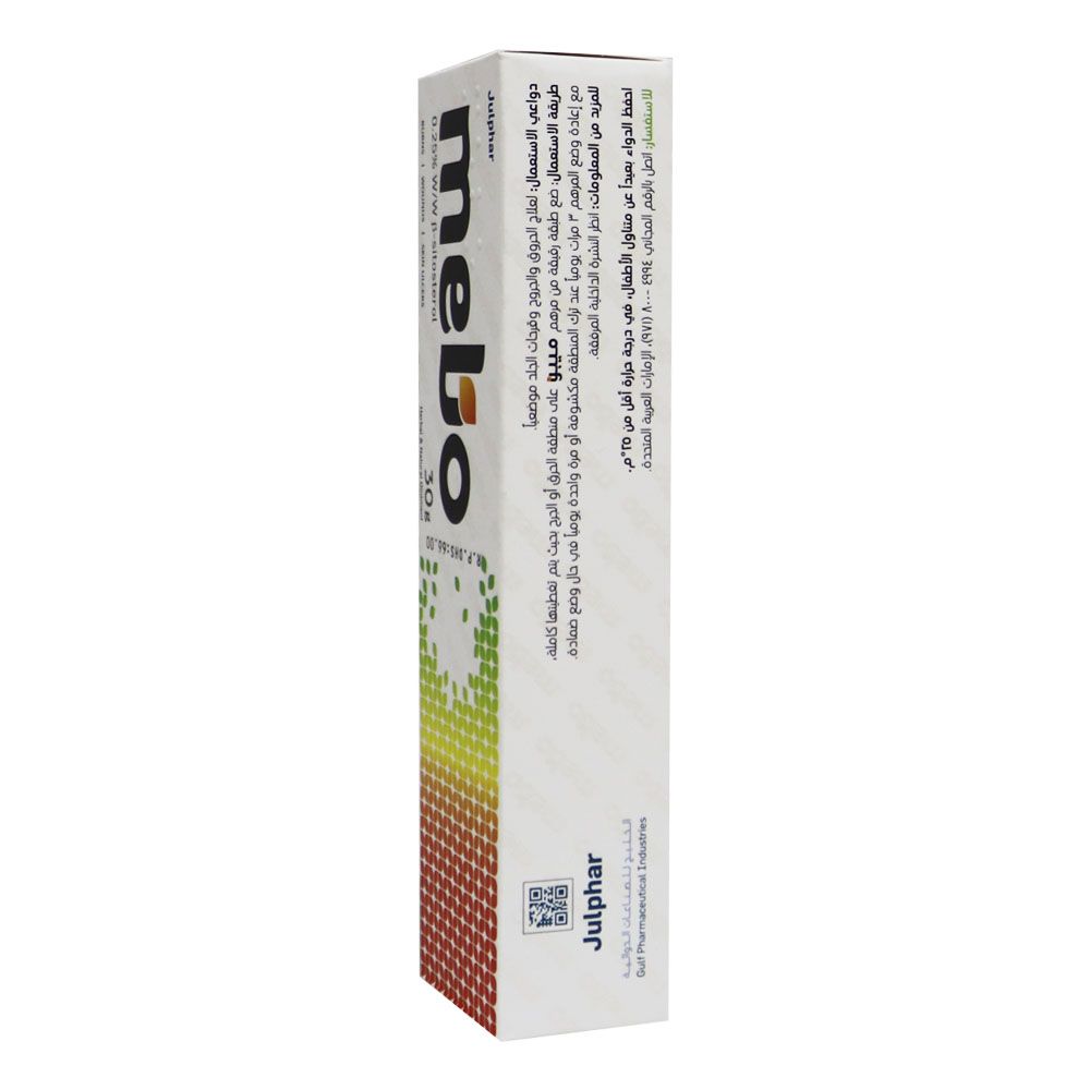 Mebo 0.25% Ointment 30 g