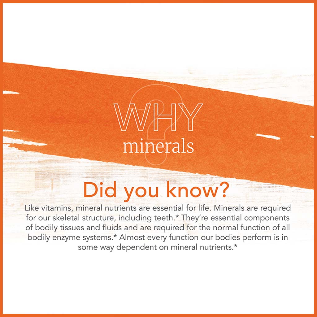 Now Calcium & Magnesium With Vitamin D3 & Zinc Softgel For Bone Health, Pack of 120's