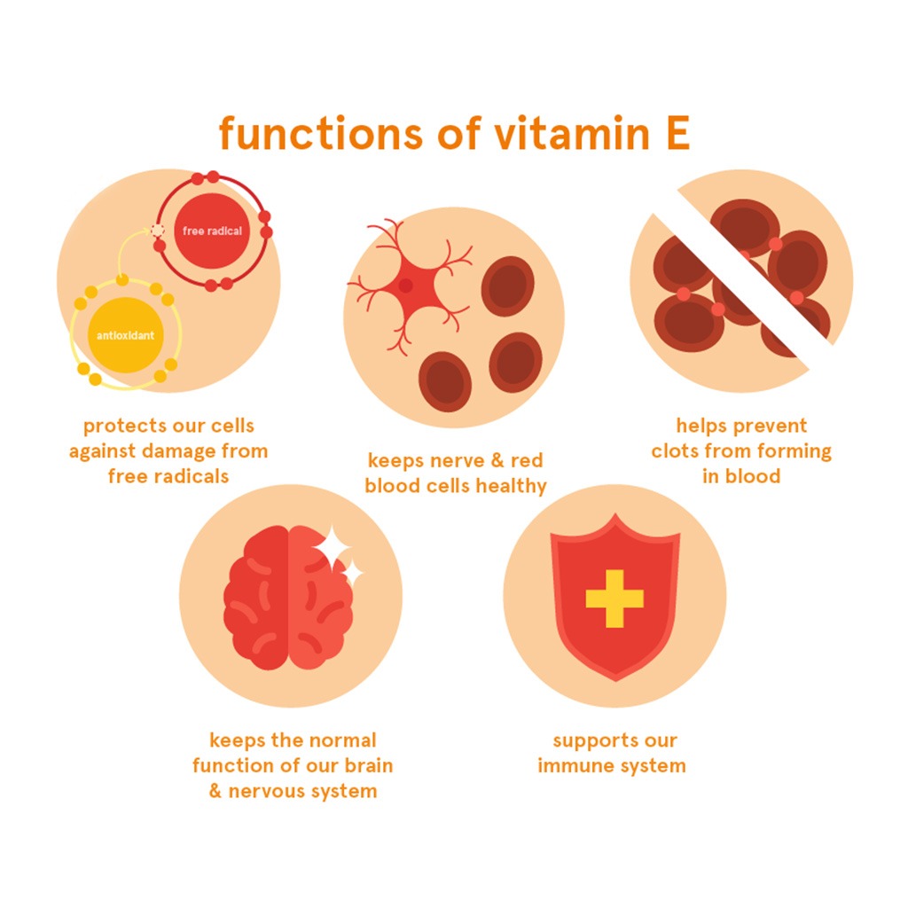 Now E-400 Vitamin E 400IU Antioxidant Softgel For Immune & Heart Support, Pack of 50's