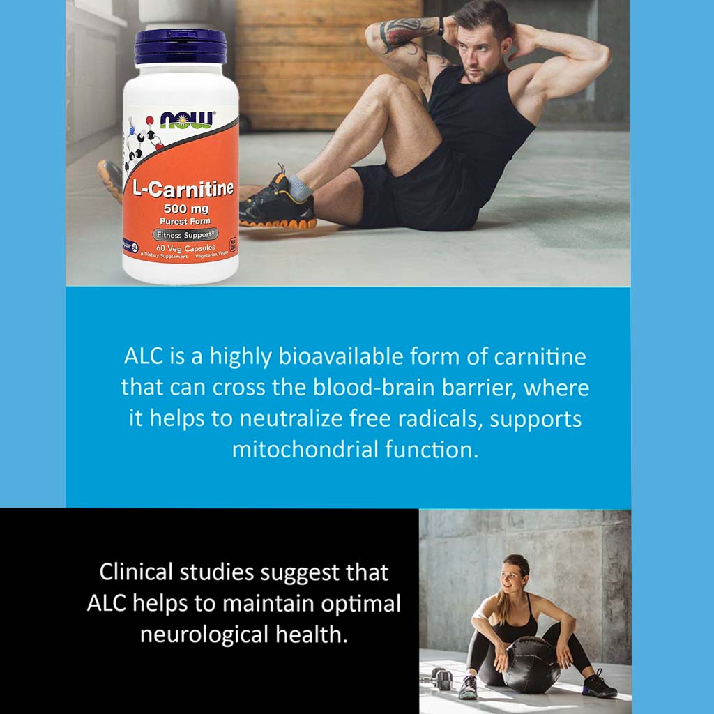 Now L-Carnitine 500mg Vegetarian Capsules For Fitness Support, Pack of 60's