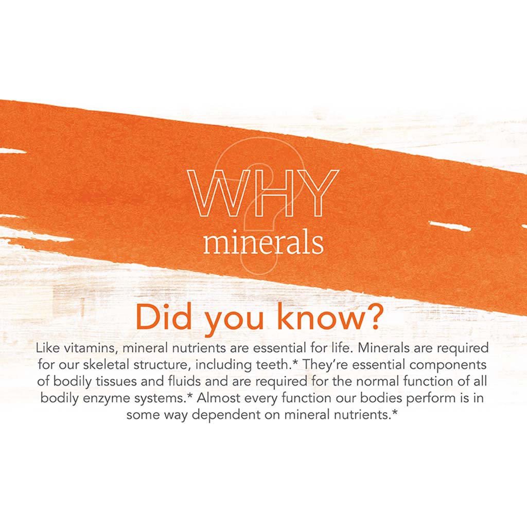 Now Magnesium 400mg Capsules For Energy Production & Nervous System Support, Pack of 180's