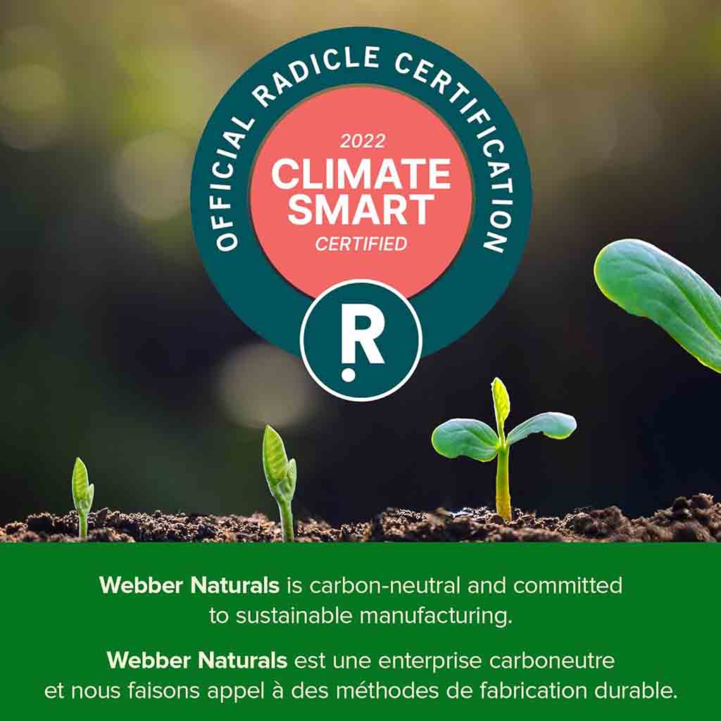 Webber Naturals Cod Liver Oil With Vitamin A & D Softgel Capsules, Pack of 180’s