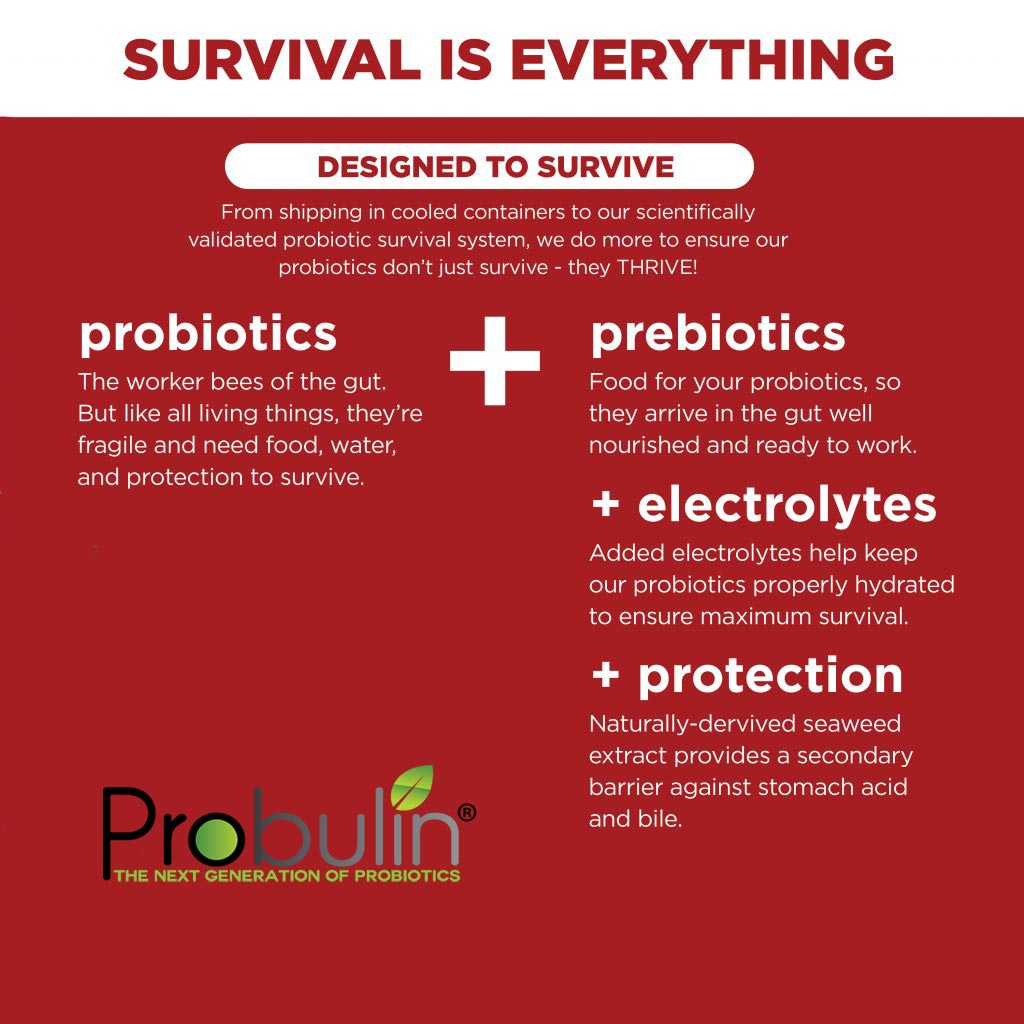 Probulin Colon Support Probiotic Capsules 30's