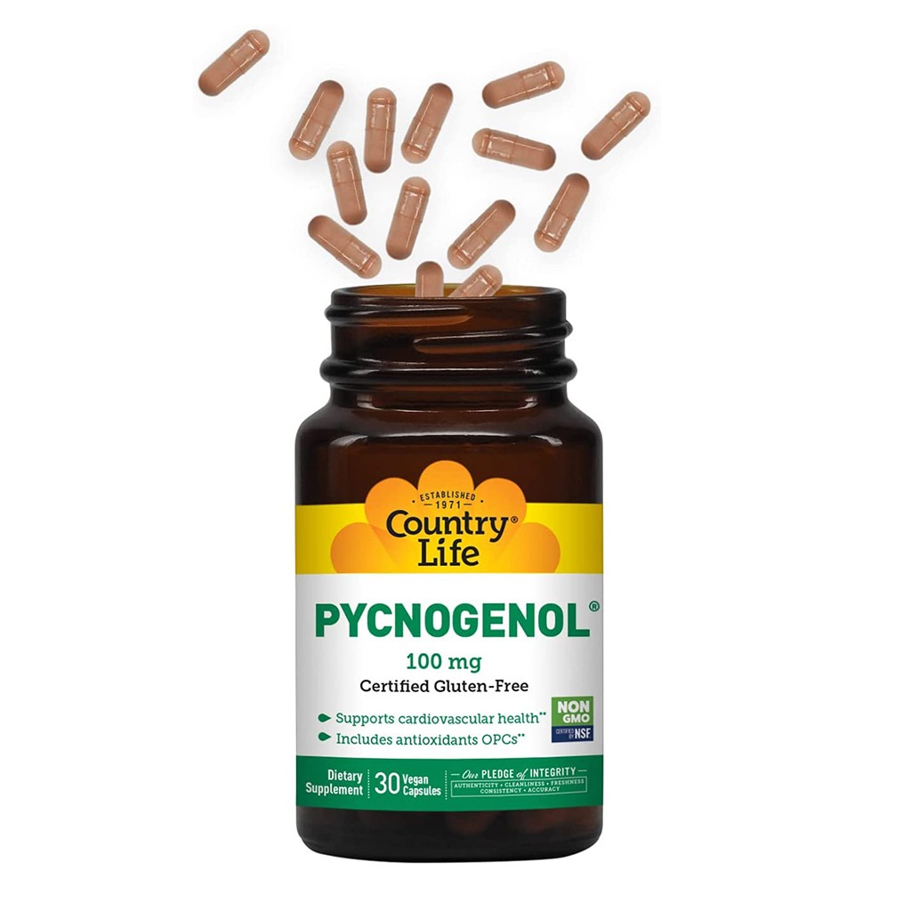 Country Life Pycnogenol 100mg Antioxidant Vegan Capsules, Pack of 30's