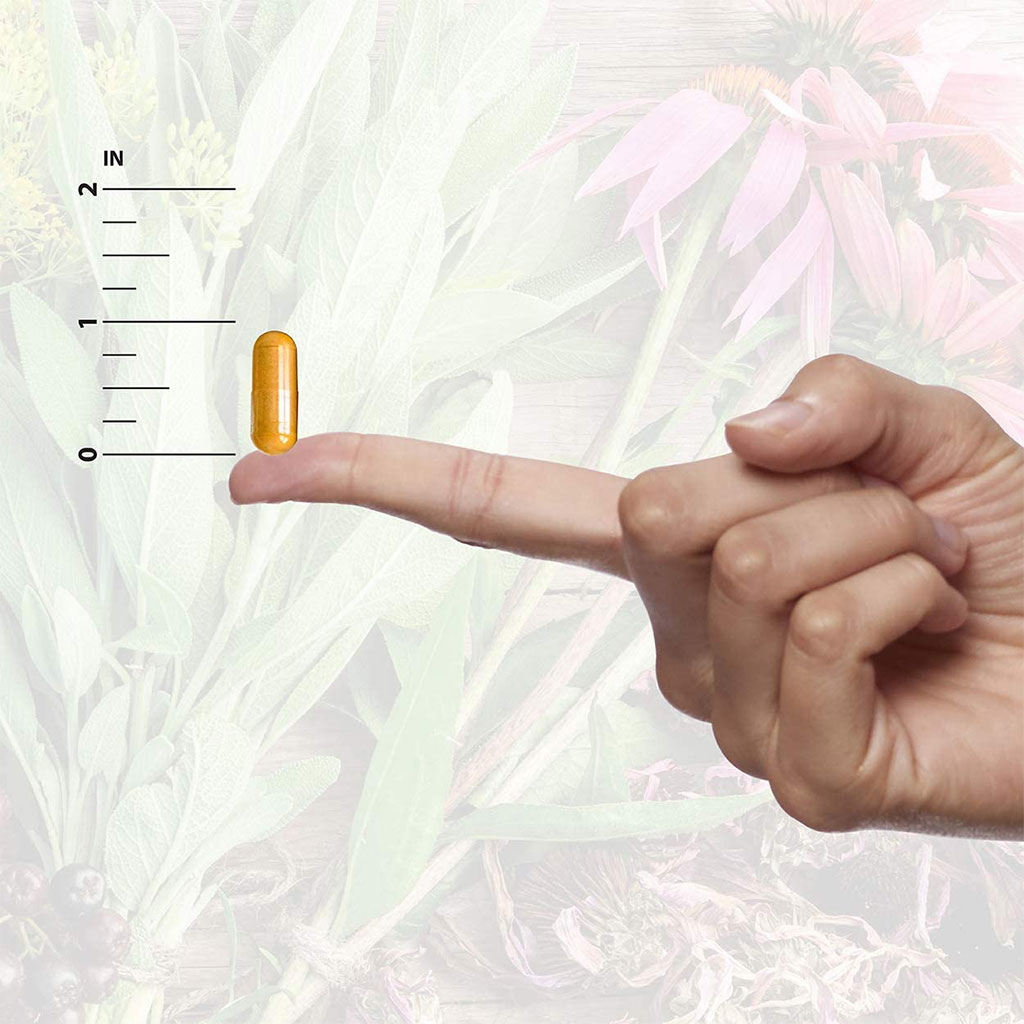 Nature's Answer Echinacea Herb 1200 mg Vegan Capsules For Antioxidant & Immunity Boost, Pack of 90's