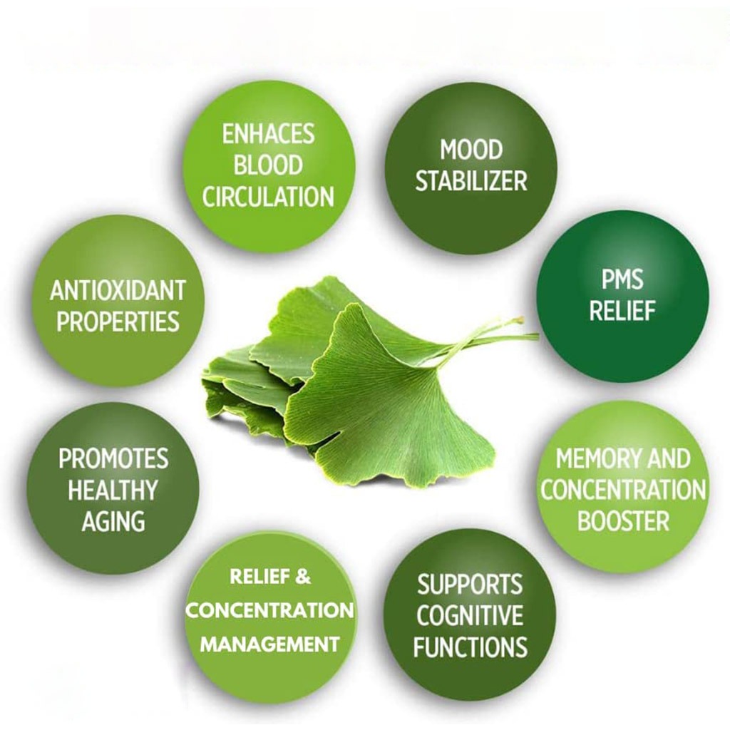 Nature's Answer Ginkgo Biloba 80mg Standardized Herbal Extract Vegan Capsules For Cognitive Support, Pack of 60's