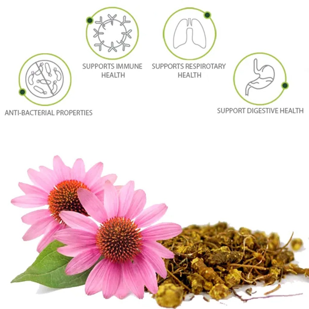 Nature's Answer Echinacea & Goldenseal 900mg Vegan Capsules For Immunity, Pack of 90's