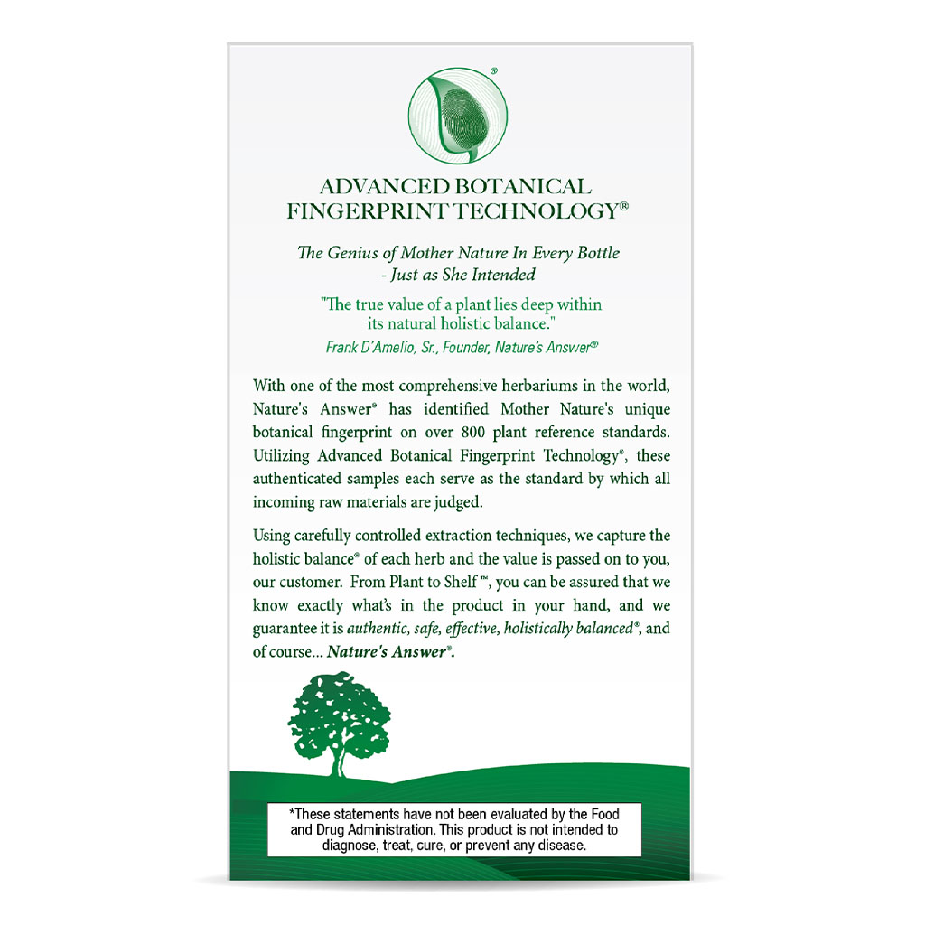 Nature's Answer Nettle Leaf 600mg Vegan Capsules For Upper Respiratory Health, Pack of 90's