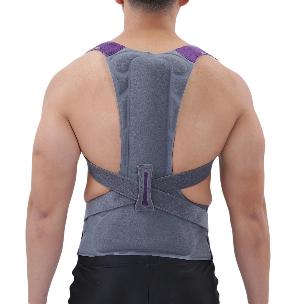Olympa High Back Lumbar Support Grey Extra Extra Large OOH-111