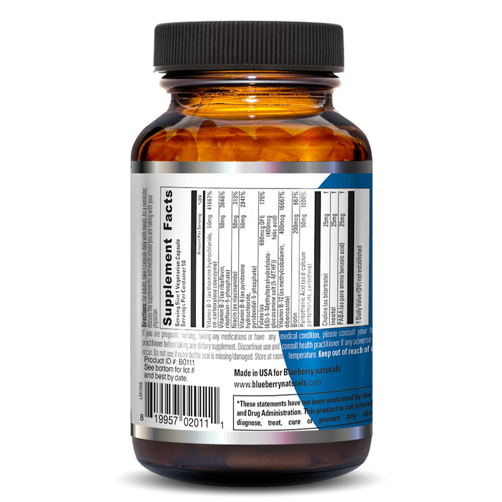 Blueberry Naturals Brilliant B Vegetarian Capsules 50's B0111 