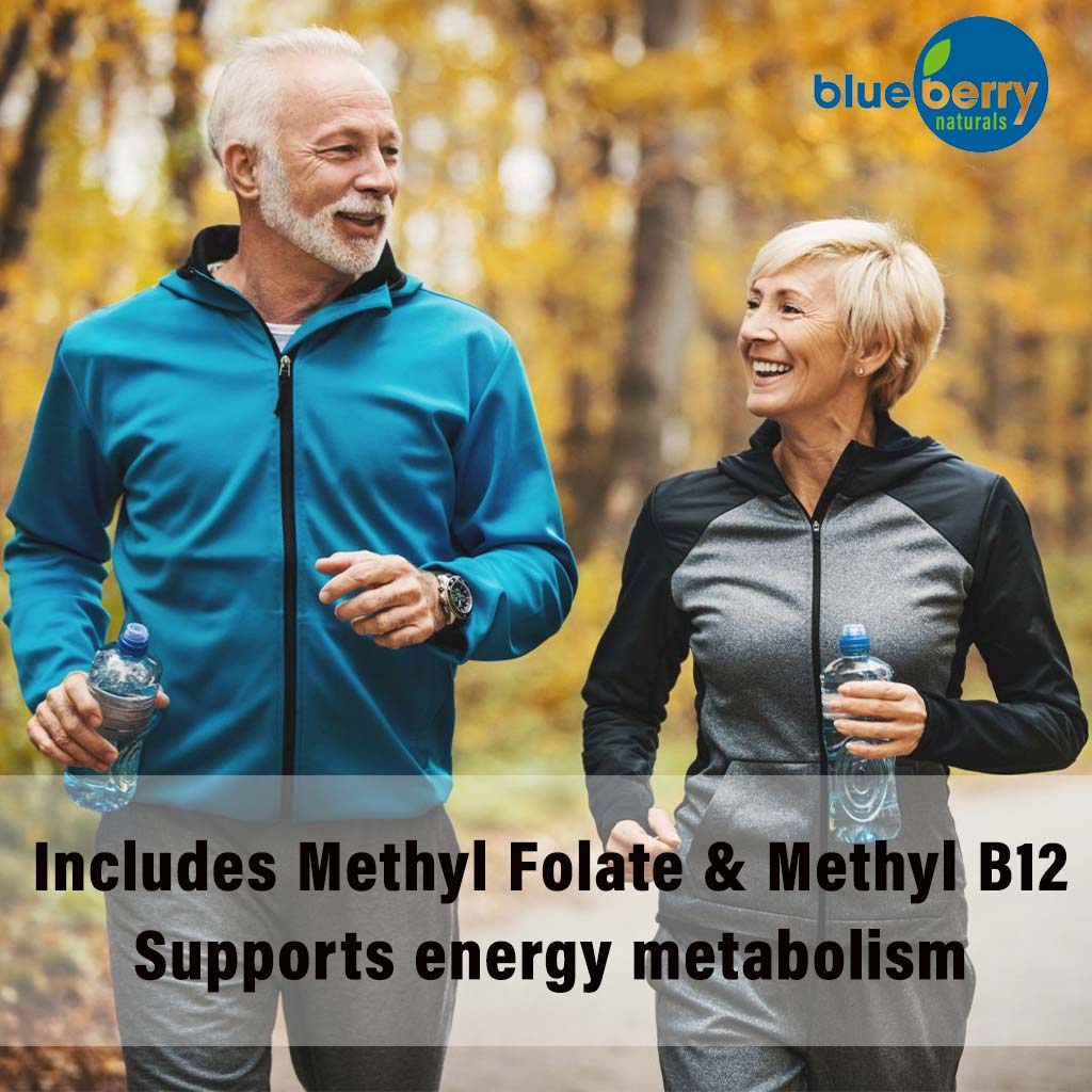 Blueberry Naturals Brilliant B Vegetarian Capsules 50's B0111 