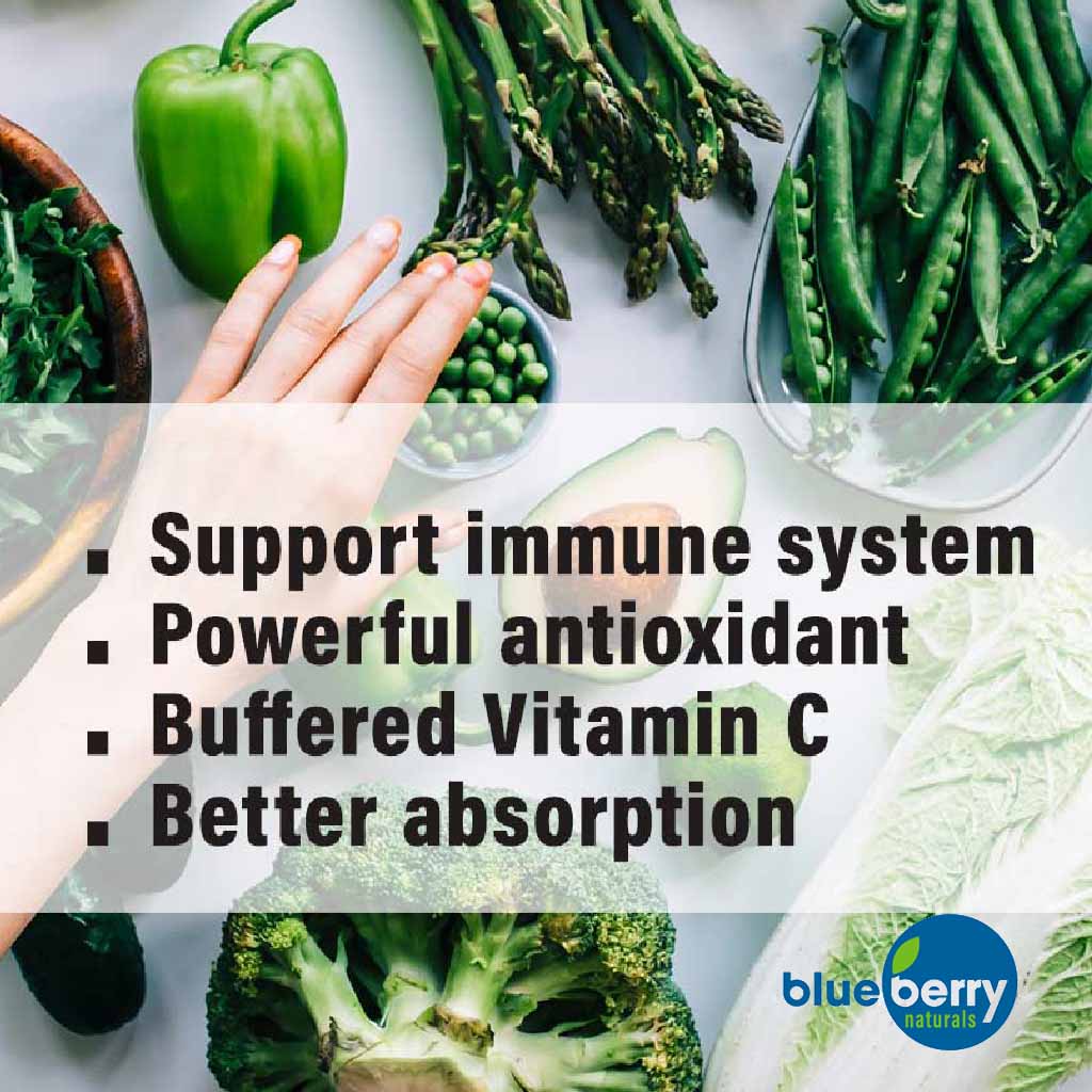 Blueberry Naturals Buffered Quick C 500 mg Vegetarian Capsules 60's B0128