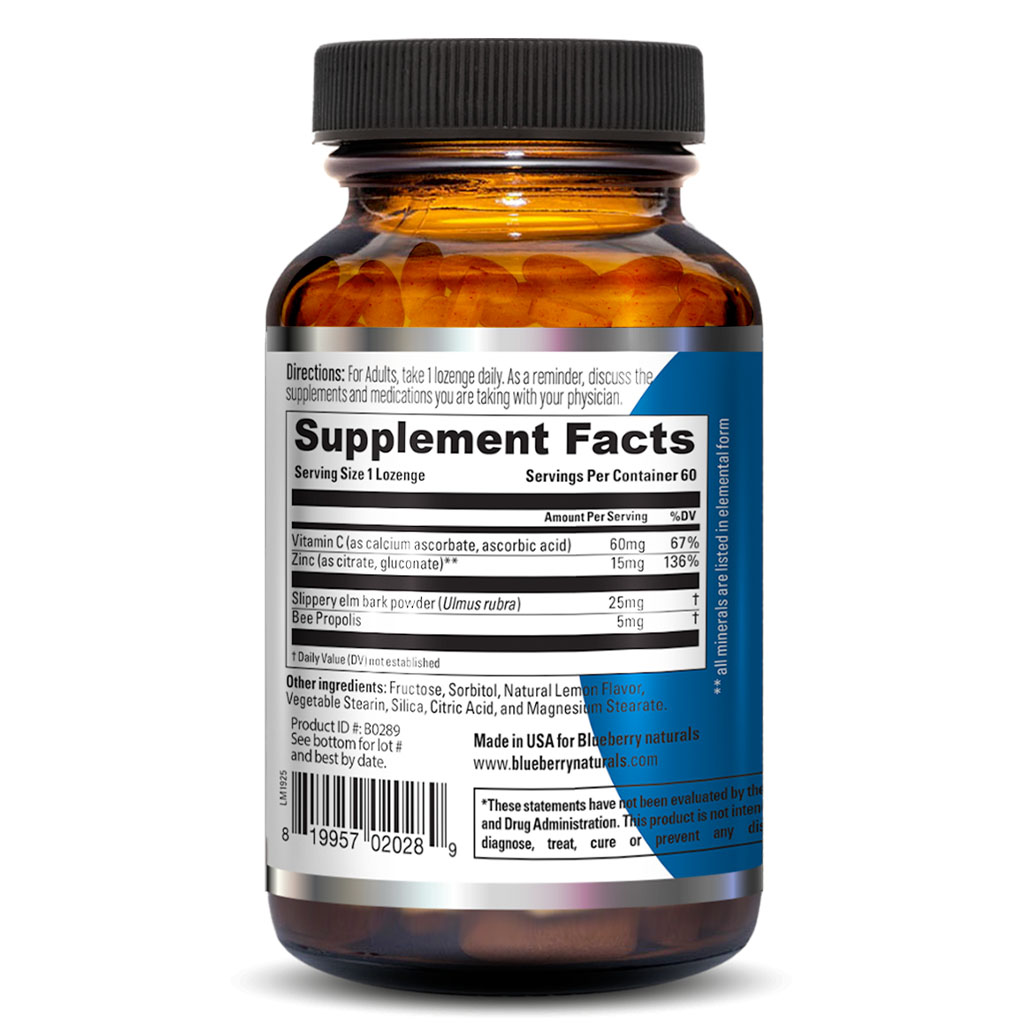 Blueberry Naturals Zinc Lozenges 60's B0289