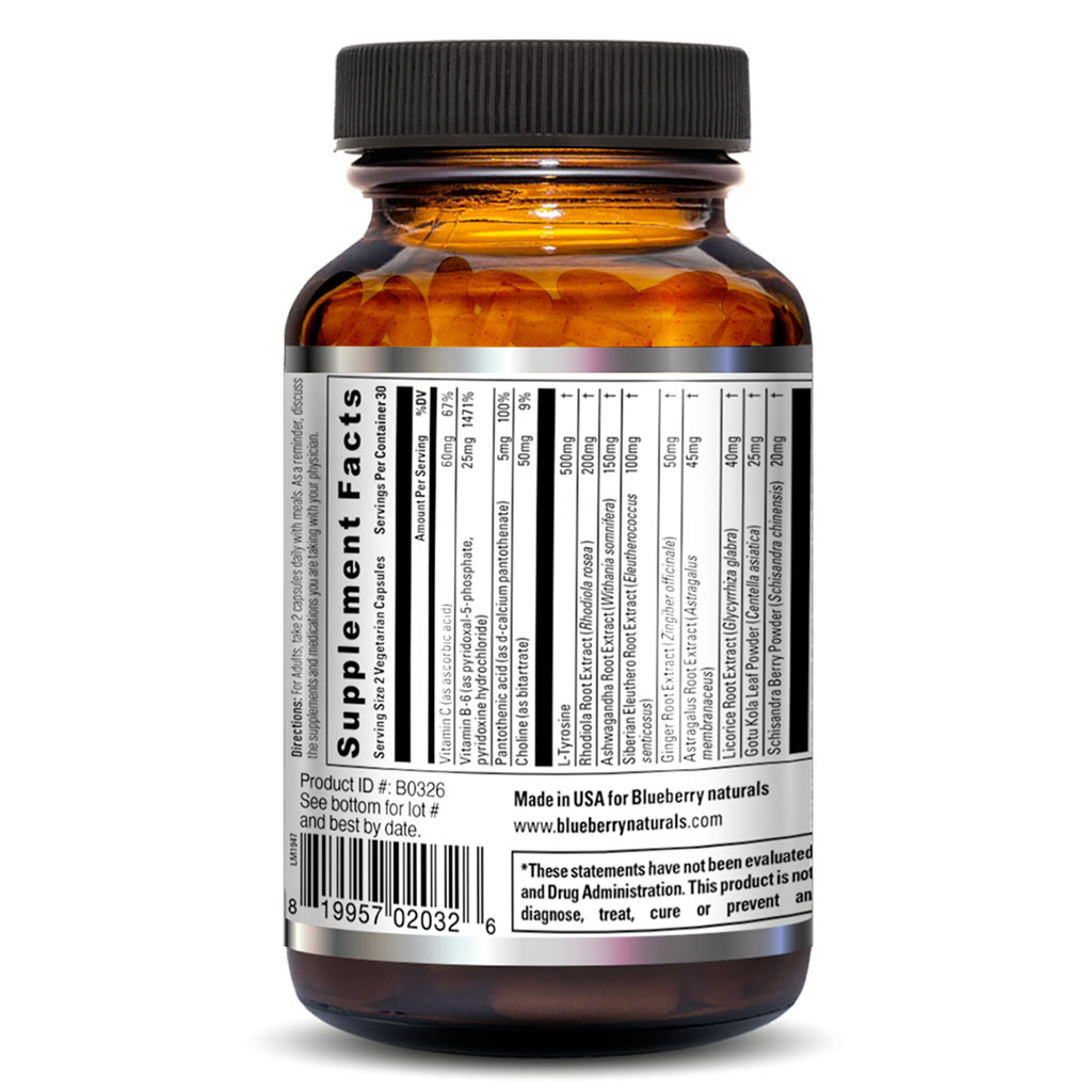 Blueberry Naturals Re-Sync Vegetarian Capsules 60's B0326 