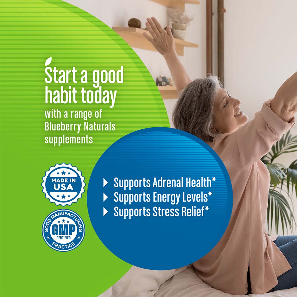 Blueberry Naturals Re-Sync Vegetarian Capsules 60's B0326 