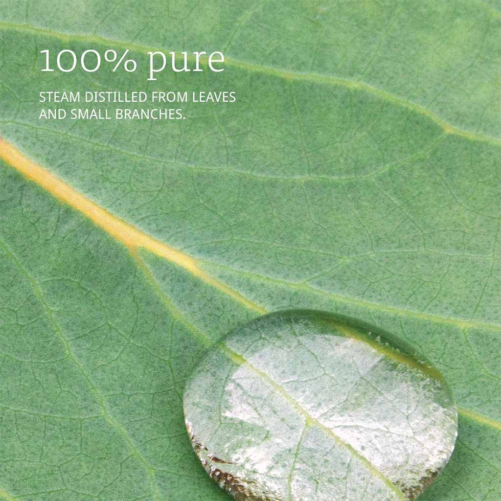 Now Essential Oils Eucalyptus Oil For Aromatherapy 30ml