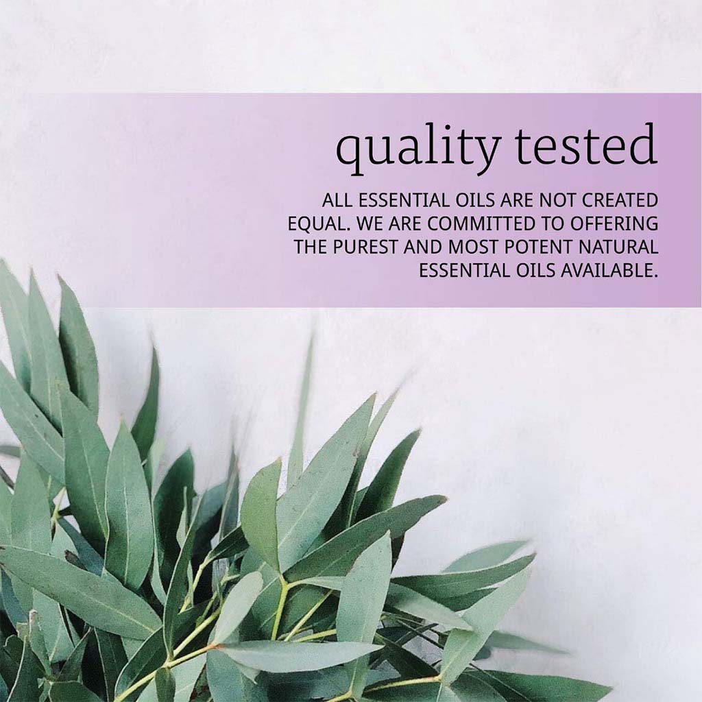 Now Essential Oils Eucalyptus Oil For Aromatherapy 30ml