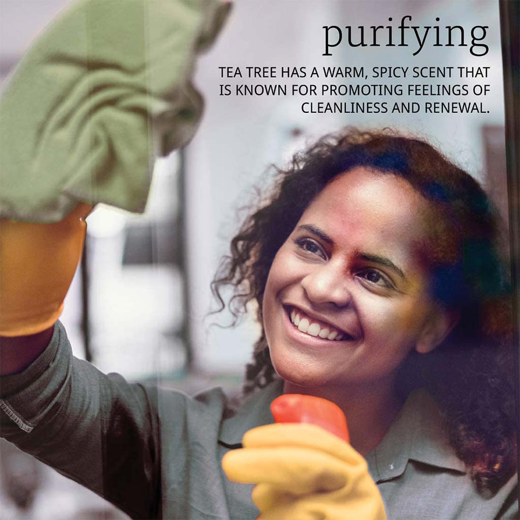 Now Essential Oils Tea Tree Oil For Aromatherapy 30ml