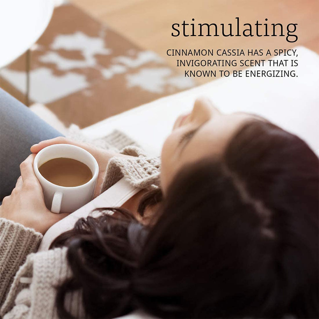 Now Essential Oils Cinnamon Cassia Oil For Aromatherapy 30ml