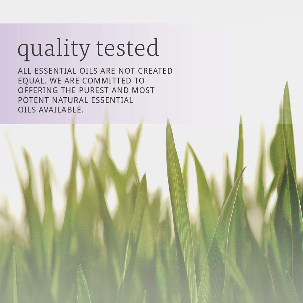 Now Essential Oils Lemongrass Oil For Aromatherapy 30ml