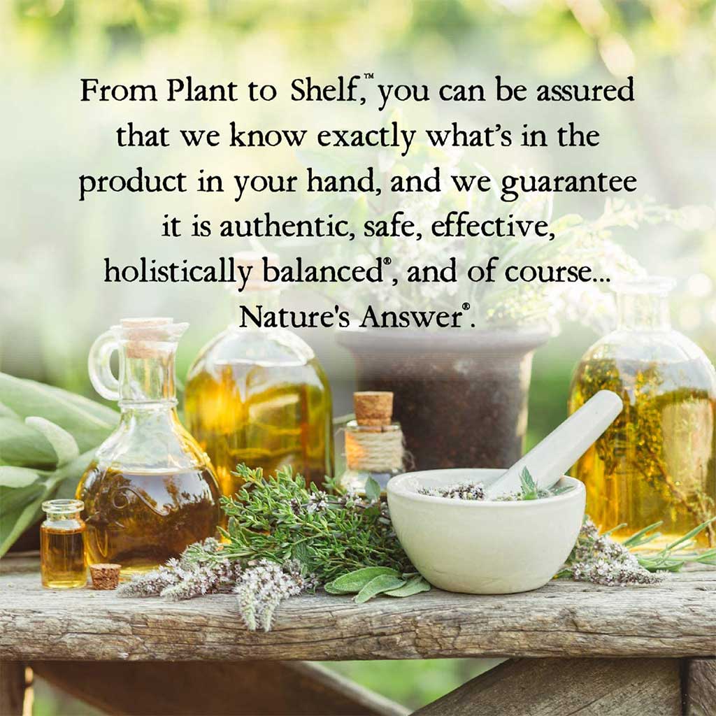 Nature's Answer Echinacea & Goldenseal 1000mg Drops For Immunity Support 30ml