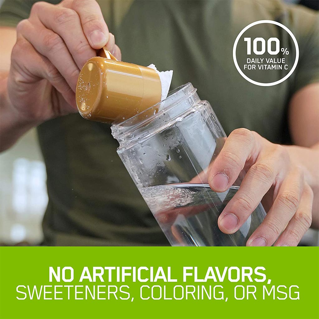 Optimum Nutrition Gold Standard 100% Plant Protein Chocolate 1.59lb