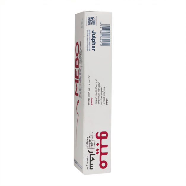 Mebo Scar Moisture Retentive Therapy Ointment 50 g