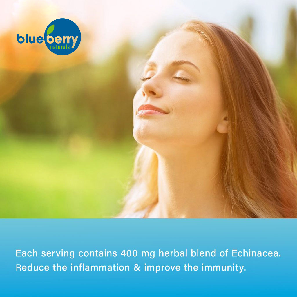 Blueberry Naturals Echinacea 400mg Capsules For Immune Support, Pack of 100’s