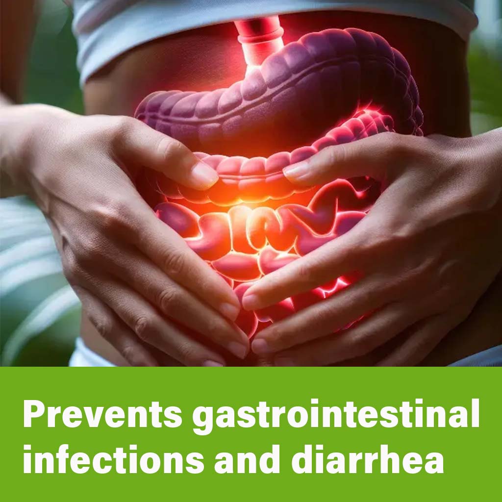 NS Florabiotic Instant Sachet 8's