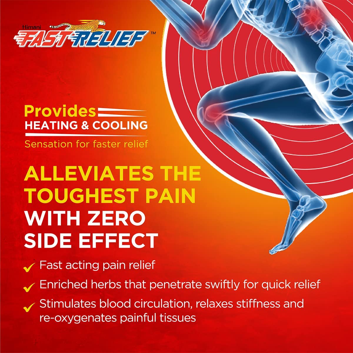 Himani Fast Relief Pain Relief Patch 10cm x 7cm, Pack of 2's