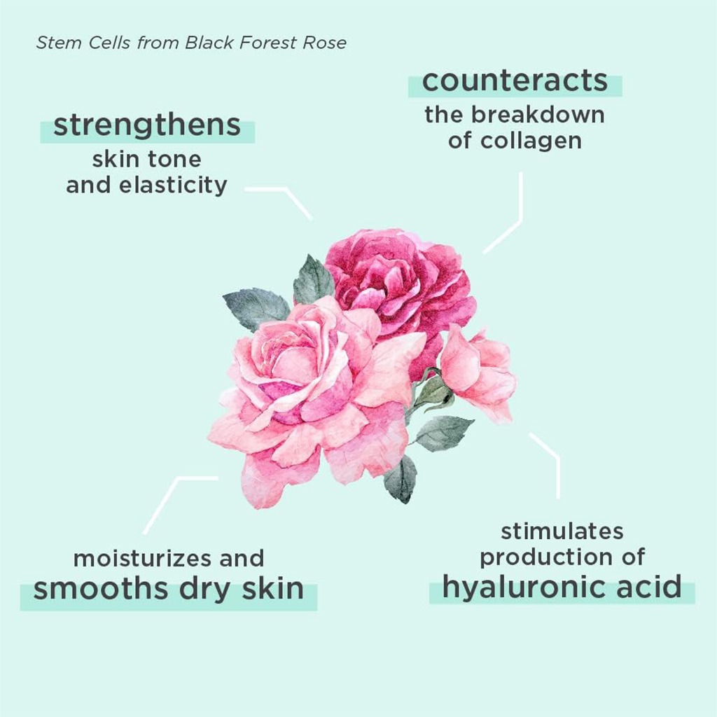 Annemarie Borlind Rose Blossom Vital Care Serum 50ml