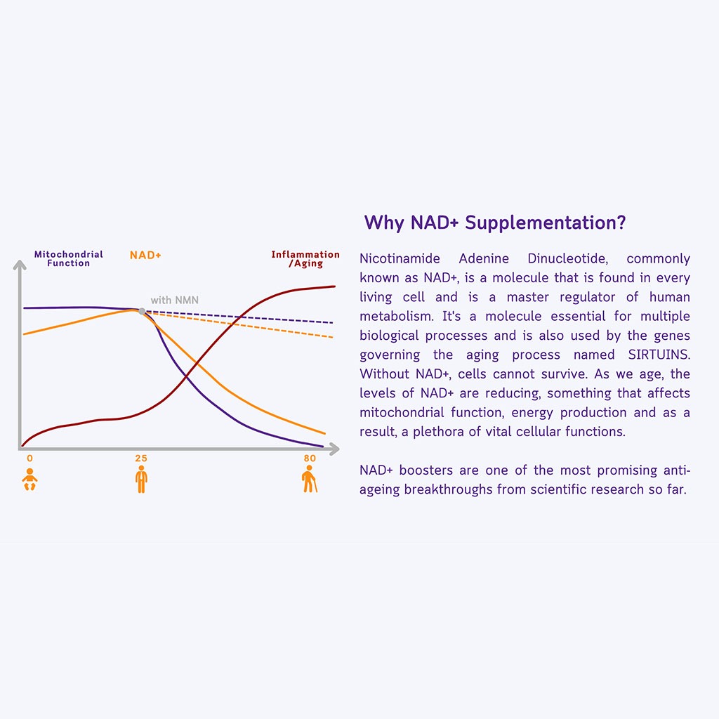 NMN Bio Beta Nicotinamide Mononucleotide 250mg Capsules For Anti-aging Support, Pack of 30's