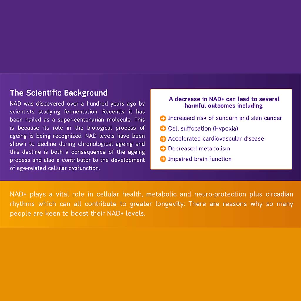 NMN Bio Beta Nicotinamide Mononucleotide 250mg Capsules For Anti-aging Support, Pack of 30's