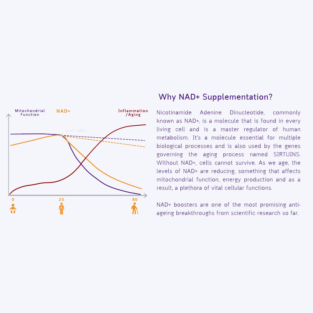 NMN Bio Beta Nicotinamide Mononucleotide 500mg Capsules For Anti-aging Support, Pack of 30's