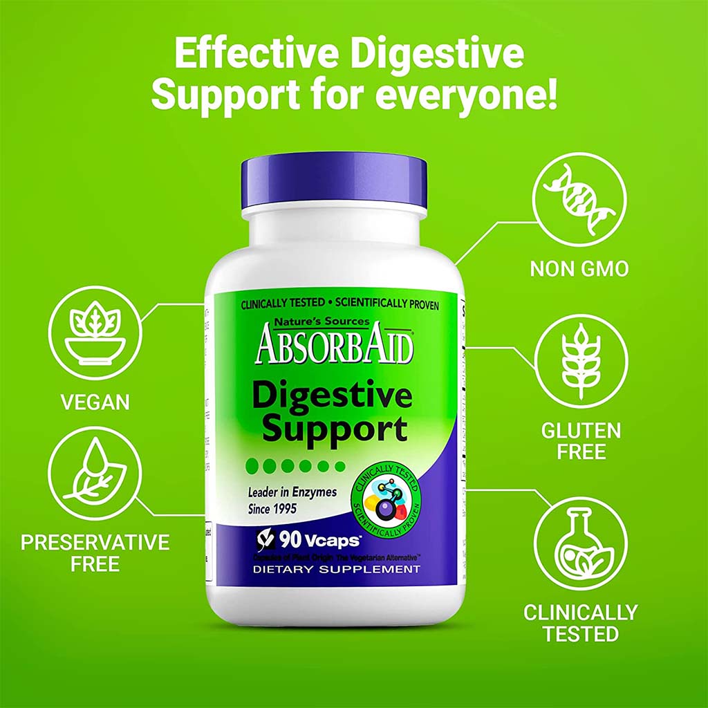 Nature's Sources AbsorbAid Digestive Enzyme Vegetarian Capsules For Digestive Support, Pack of 90's