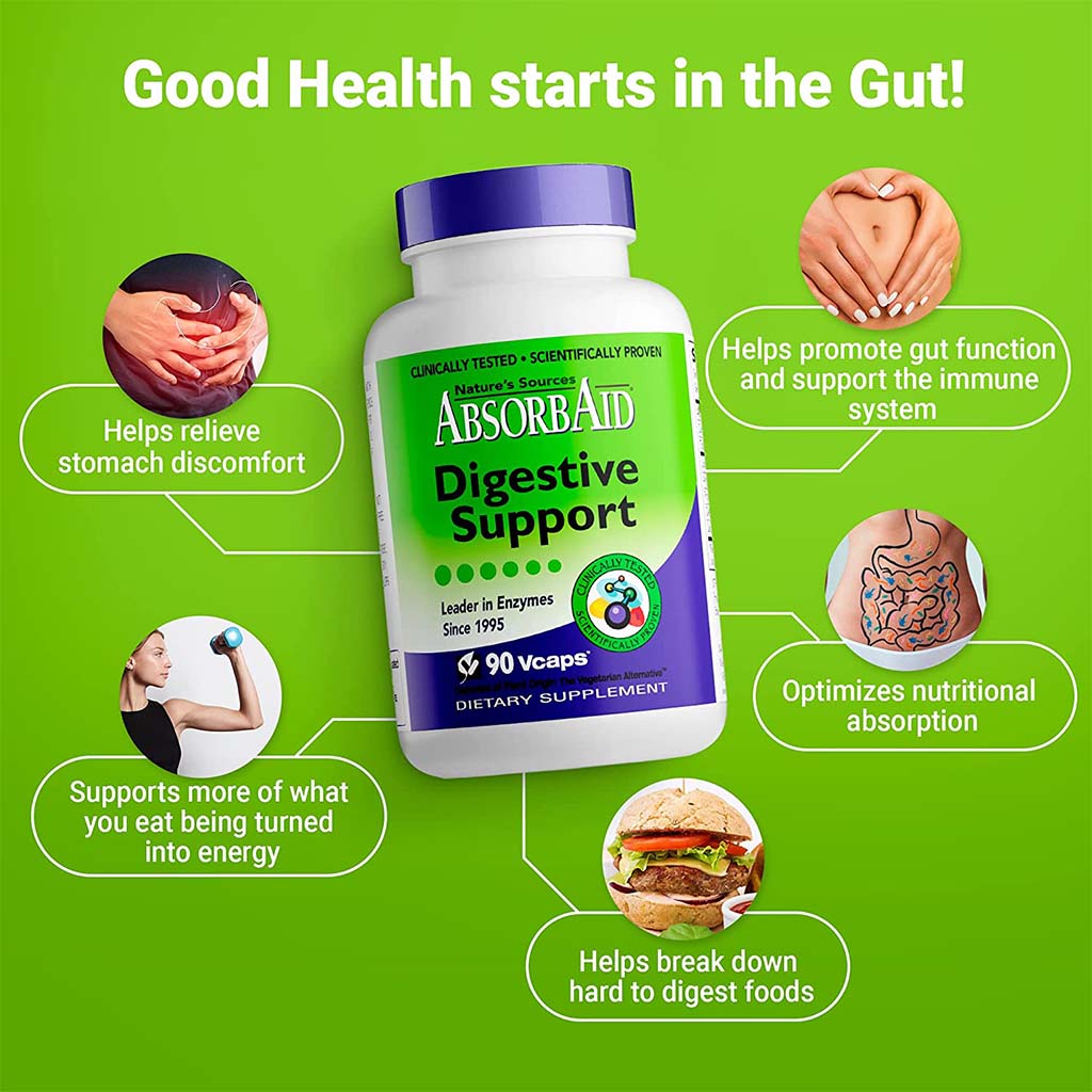 Nature's Sources AbsorbAid Digestive Enzyme Vegetarian Capsules For Digestive Support, Pack of 90's