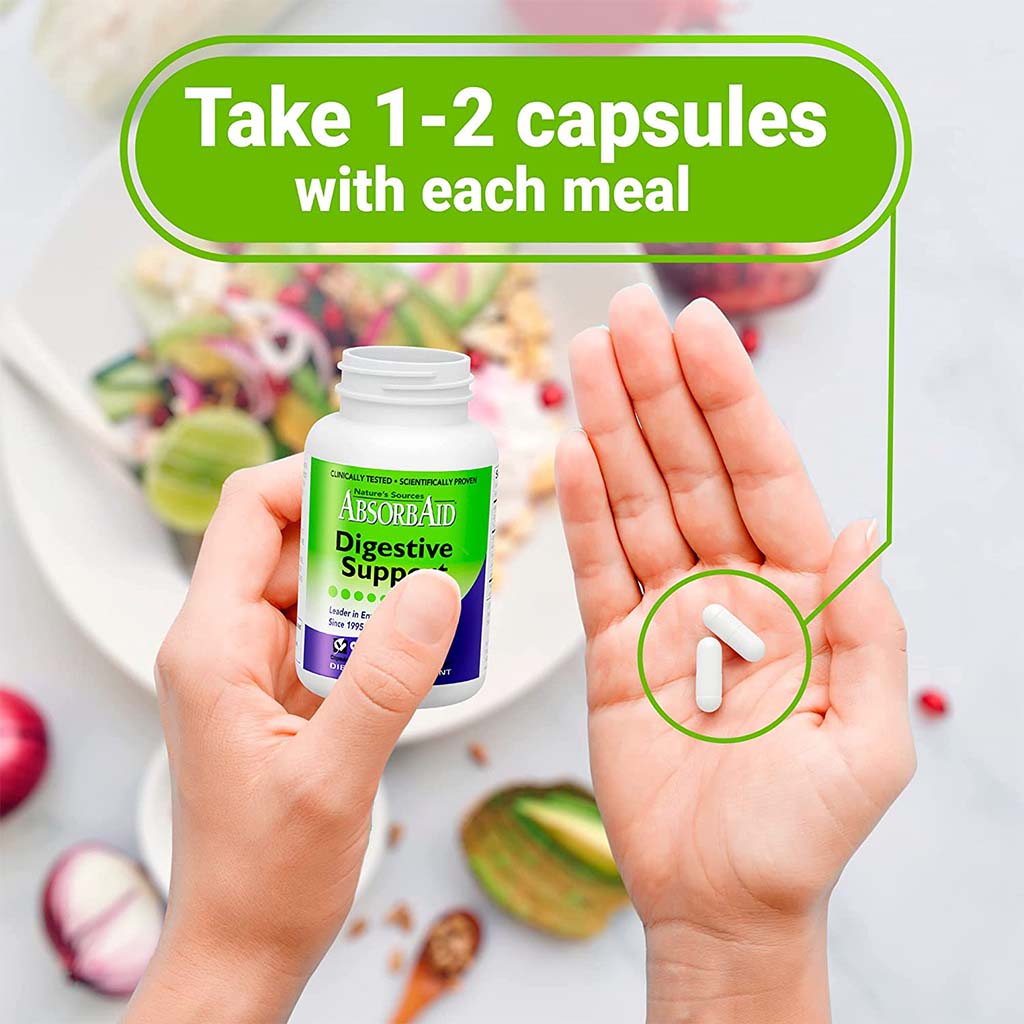 Nature's Sources AbsorbAid Digestive Enzyme Vegetarian Capsules For Digestive Support, Pack of 90's