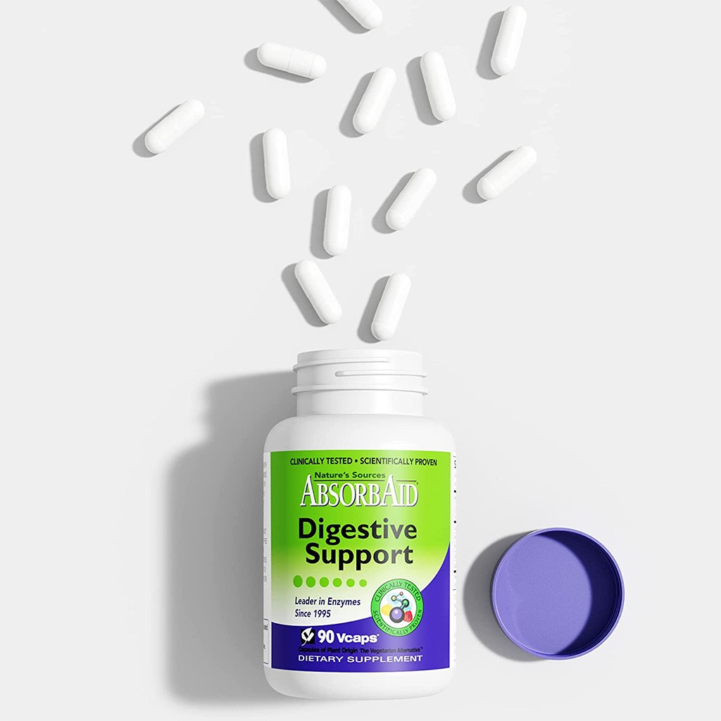 Nature's Sources AbsorbAid Digestive Enzyme Vegetarian Capsules For Digestive Support, Pack of 90's