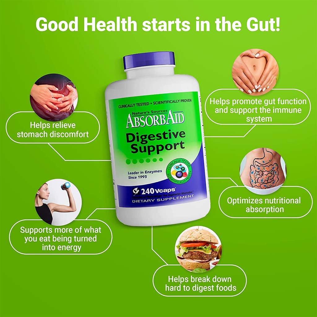 Nature's Sources AbsorbAid Digestive Enzyme Vegetarian Capsules For Digestive Support, Pack of 240's