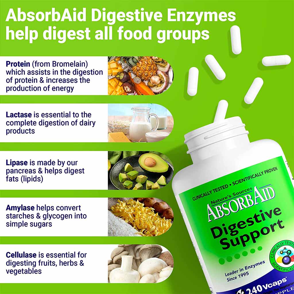 Nature's Sources AbsorbAid Digestive Enzyme Vegetarian Capsules For Digestive Support, Pack of 240's