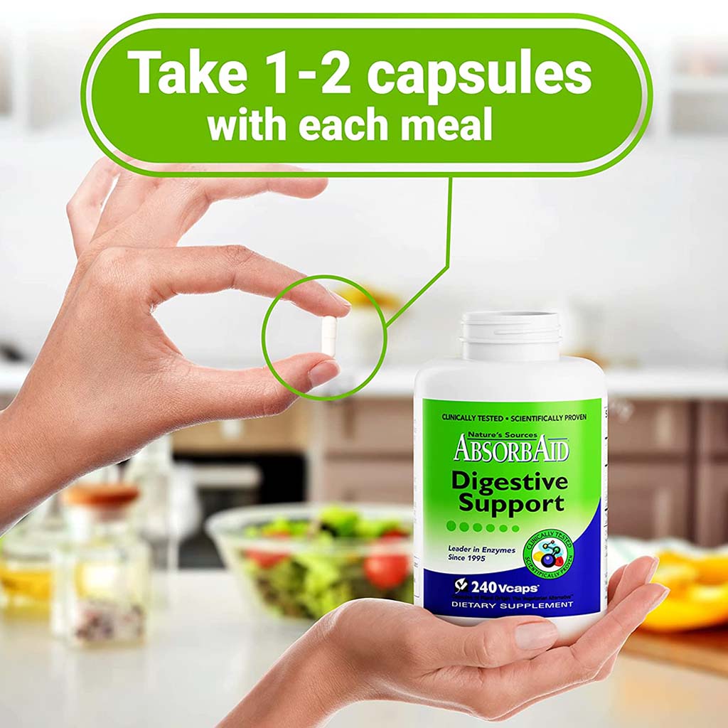 Nature's Sources AbsorbAid Digestive Enzyme Vegetarian Capsules For Digestive Support, Pack of 240's