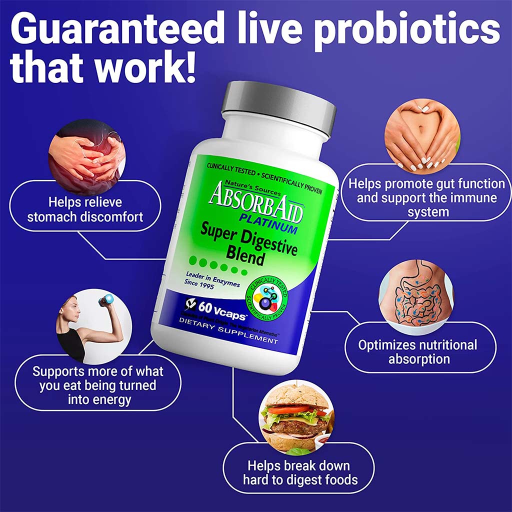 Nature's Sources AbsorbAid Platinum Super Digestive Enzyme & Probiotic Blend Vegetarian Capsules For Digestive Support, Pack of 60's