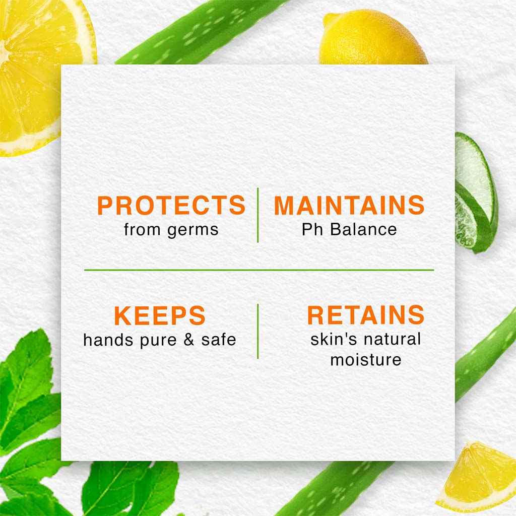 Himalaya Pure Hands Anti-Bacterial Hand Wash With Tulsi & Lemon 250ml