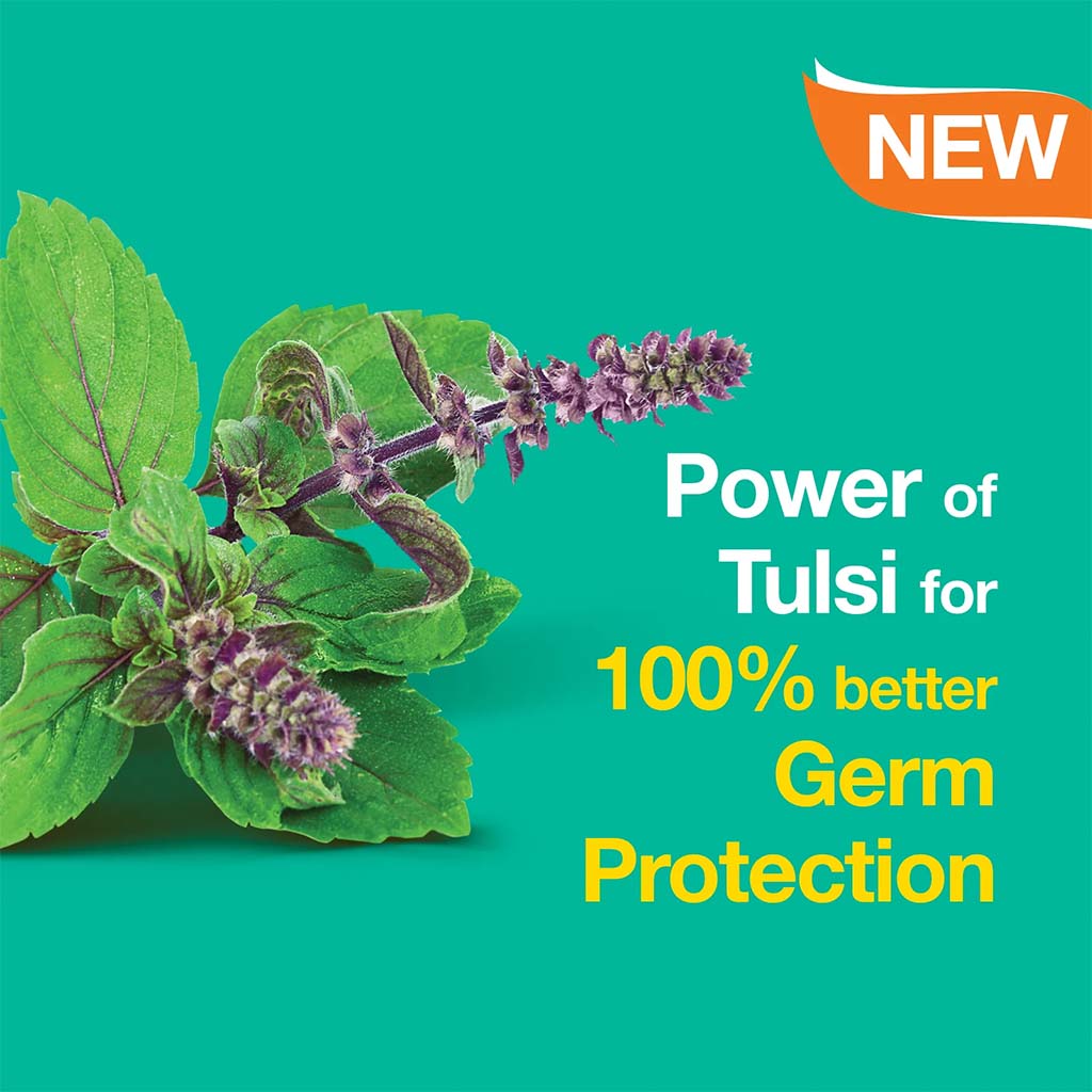 Himalaya Pure Hands Anti-Bacterial Hand Wash With Tulsi & Lemon 250ml