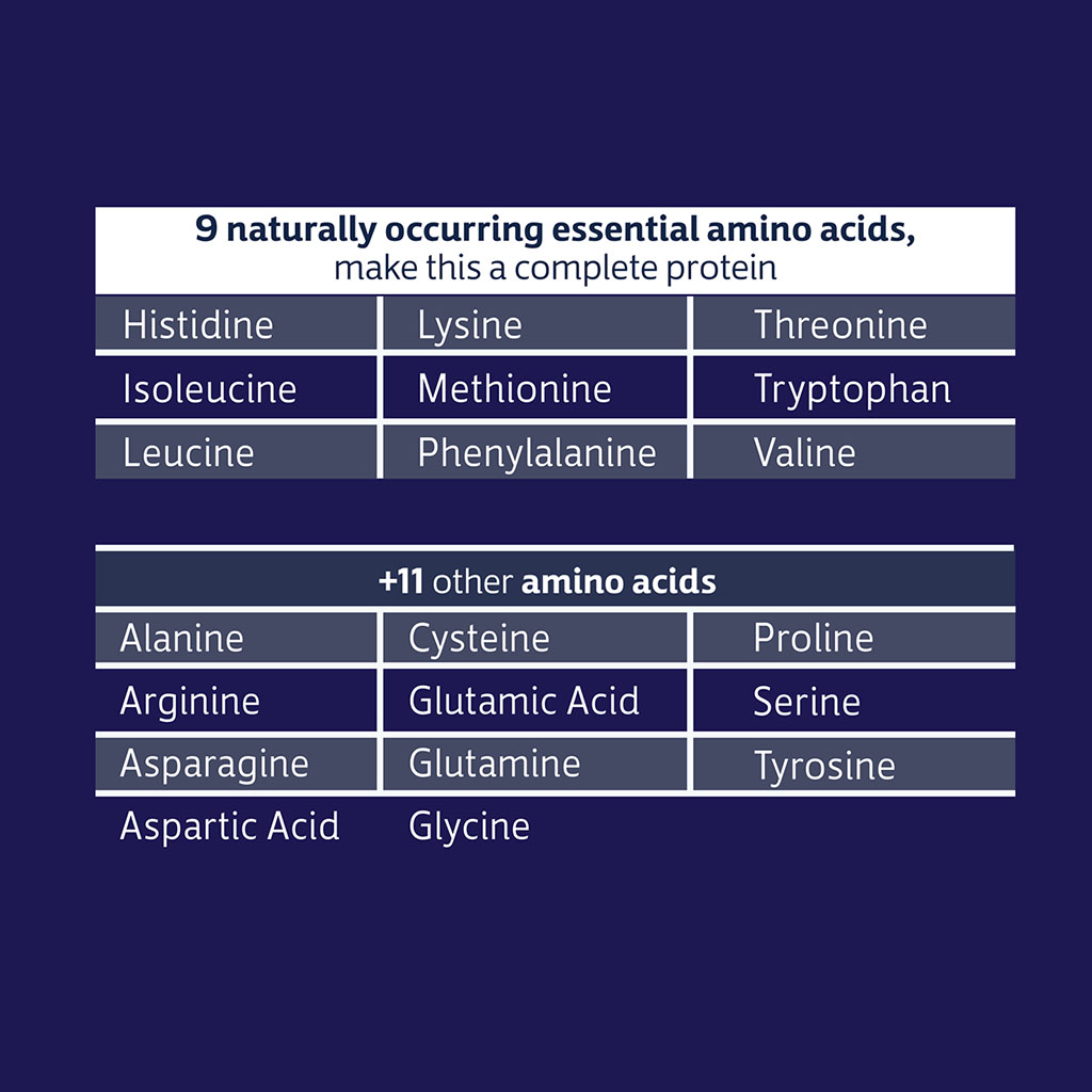 Biochem 100% Whey Isolate Protein Powder - Vanilla Flavor 1377g