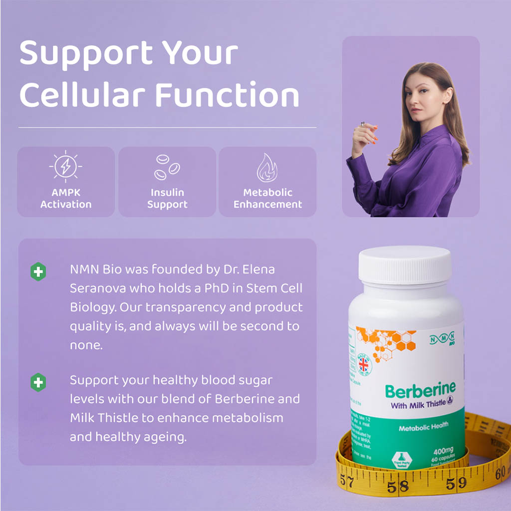 NMN Bio Berberine With Milk Thistle 400mg Supplement Capsules, Pack of 60’s