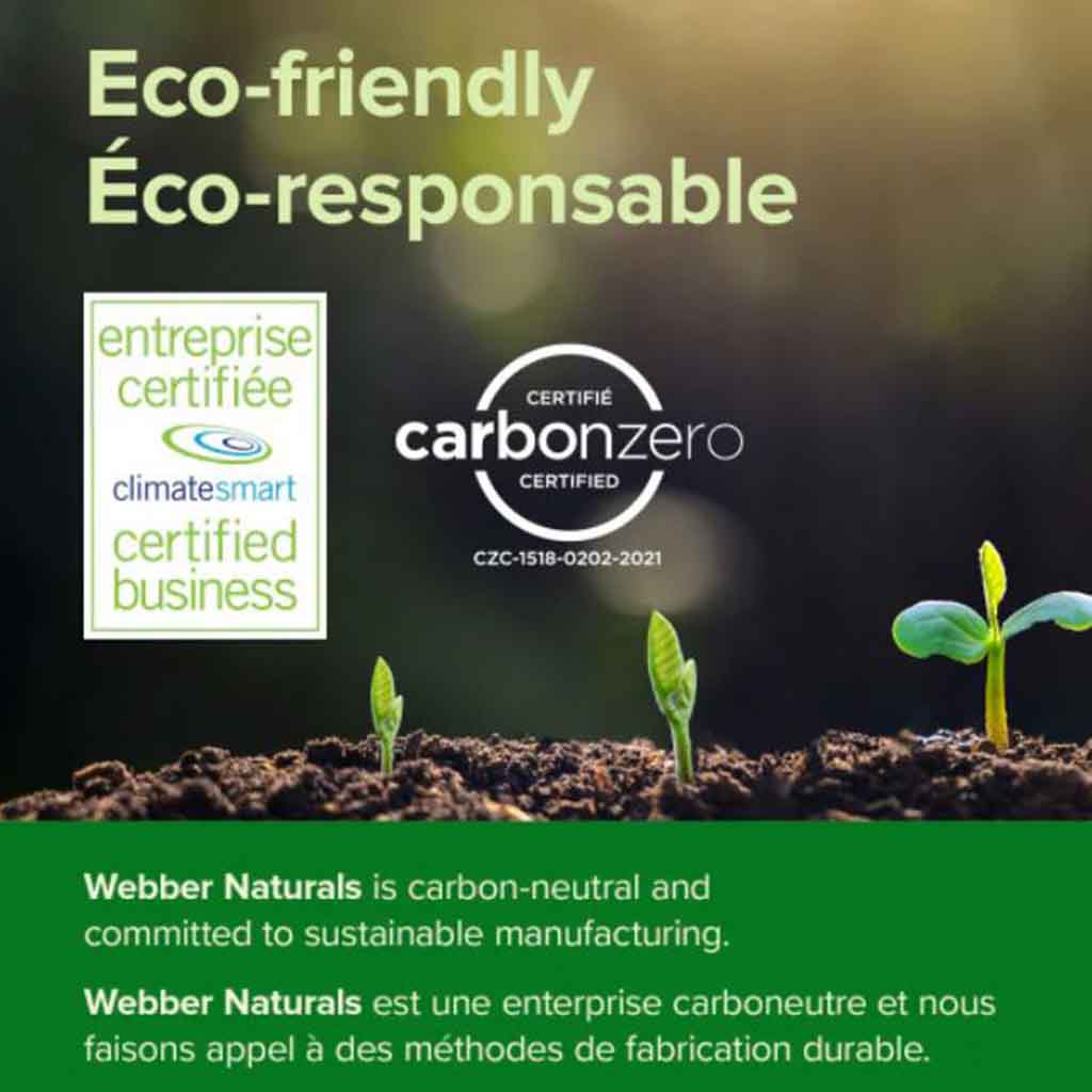 Webber Naturals Vitamin B12 250mcg Sublingual Tablets, Pack of 90’s